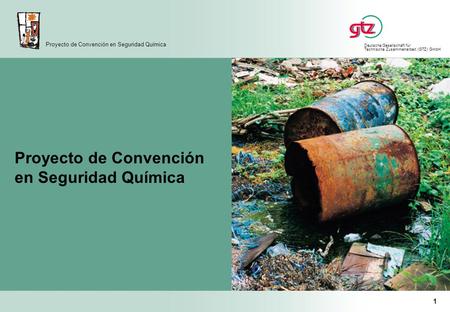 Deutsche Gesellschaft für Technische Zusammenarbeit (GTZ) GmbH Proyecto de Convención en Seguridad Química 1 Proyecto de Convención en Seguridad Química.