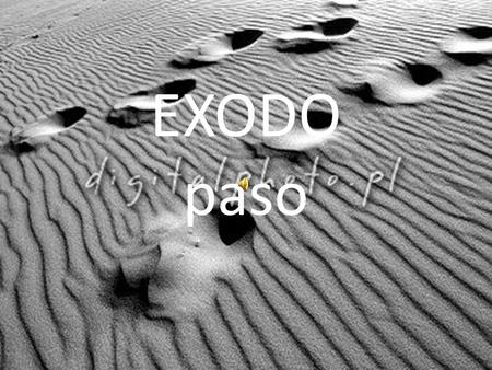 EXODO paso. oráculo “ tu eres mi hijo yo te he engendrado hoy. Pídemelo y te daré en herencia las naciones, en posesión los confines del mundo” Sal 2,7.