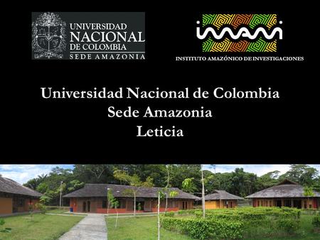 INSTITUTO AMAZÓNICO DE INVESTIGACIONES