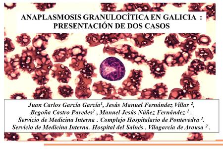 ANAPLASMOSIS GRANULOCÍTICA EN GALICIA : PRESENTACIÓN DE DOS CASOS