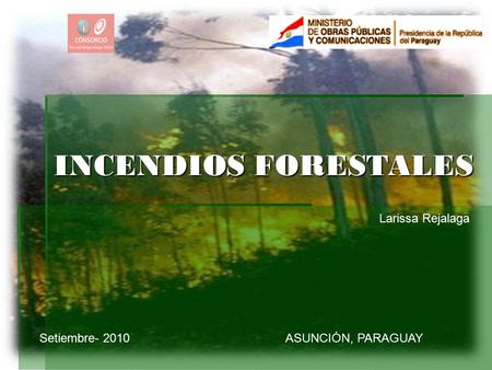 INCENDIOS FORESTALES Larissa Rejalaga