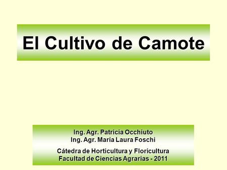 El Cultivo de Camote Ing. Agr. Patricia Occhiuto