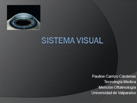 Sistema vISual Pauline Carrizo Cárdenas Tecnología Medica