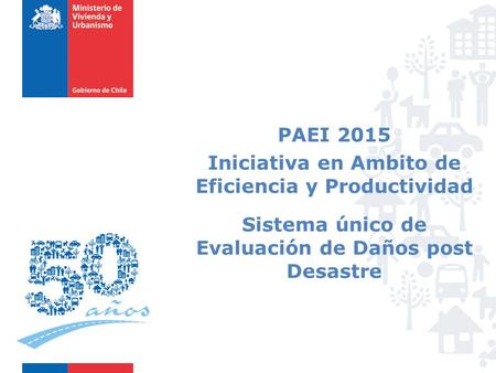PAEI 2015 Iniciativa en Ambito de Eficiencia y Productividad