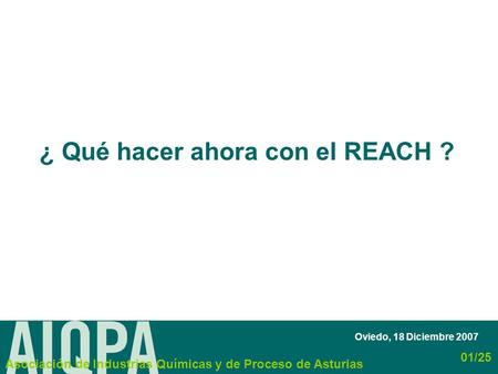 Oviedo, 18 Diciembre 2007 ¿ Qué hacer ahora con el REACH ? Asociación de Industrias Químicas y de Proceso de Asturias 01/25.