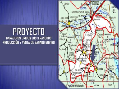 GANADEROS UNIDOS LOS 3 RANCHOS PRODUCCIÓN Y VENTA DE GANADO BOVINO.