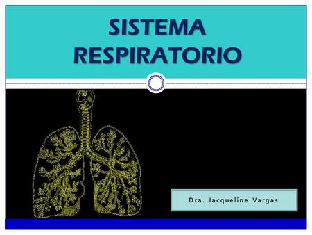 SISTEMA RESPIRATORIO Dra. Jacqueline Vargas.