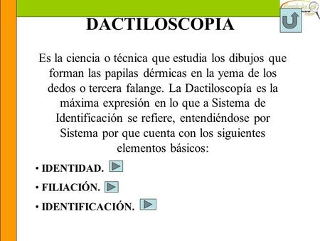 DACTILOSCOPIA Es la ciencia o técnica que estudia los dibujos que forman las papilas dérmicas en la yema de los dedos o tercera falange. La Dactiloscopía.