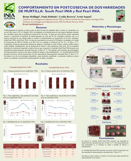 COMPORTAMIENTO EN POSTCOSECHA DE DOS VARIEDADES DE MURTILLA: South Pearl INIA y Red Pearl INIA. Bruno Defilippi 1, Paula Robledo 1, Cecilia Becerra 1,