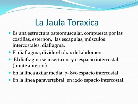 La Jaula Toraxica Es una estructura osteomuscular, compuesta por las costillas, esternón, las escapulas, músculos intercostales, diafragma. El diafragma,