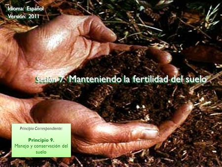 ©2009 Rainforest Alliance Sesión 7: Manteniendo la fertilidad del suelo Idioma: Español Versión: 2011 Principio Correspondiente: Principio 9. Manejo y.
