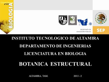 BOTANICA ESTRUCTURAL ALTAMIRA, TAM