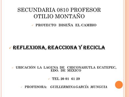 SECUNDARIA 0810 PROFESOR OTILIO MONTAÑO