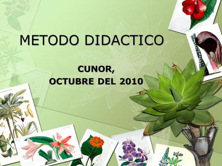 METODO DIDACTICO CUNOR, OCTUBRE DEL 2010.