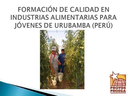 Poner en marcha la especialidad de Industrias Alimentarias, complementaria a las demás carreras técnicas impulsadas en el centro: Agropecuaria, Computación/Informática.