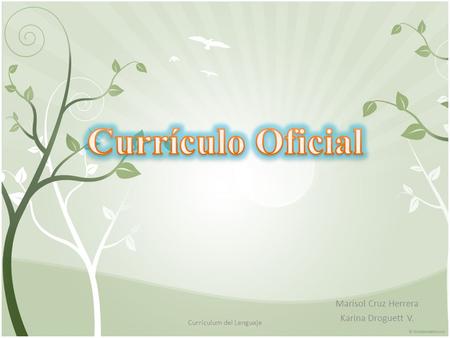 Marisol Cruz Herrera Karina Droguett V. Currículum del Lenguaje.