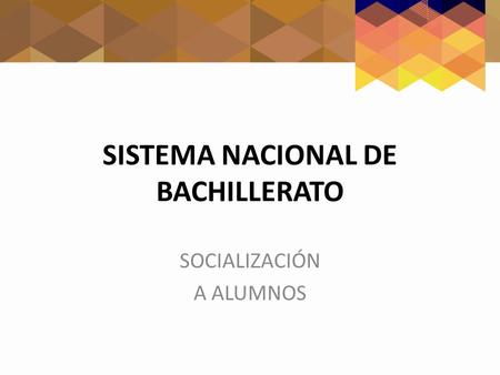 SISTEMA NACIONAL DE BACHILLERATO
