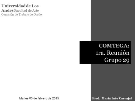 COMTEGA: 1ra. Reunión Grupo 29