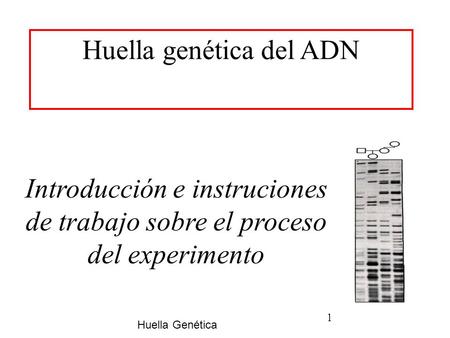Huella genética del ADN