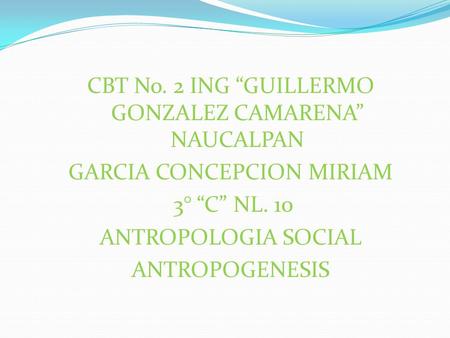 CBT No. 2 ING “GUILLERMO GONZALEZ CAMARENA” NAUCALPAN GARCIA CONCEPCION MIRIAM 3° “C” NL. 10 ANTROPOLOGIA SOCIAL ANTROPOGENESIS.