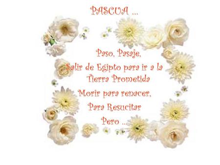 PASCUA … Paso, Pasaje, Salir de Egipto para ir a la Tierra Prometida Morir para renacer, Para Resucitar Pero …