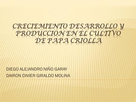 DIEGO ALEJANDRO NIÑO GARAY DAIRON DIVIER GIRALDO MOLINA.