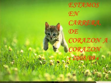 ESTAMOS EN CARRERA, DE CORAZON A CORAZON « 2008/09 «