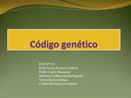 EQUIPO 6: Ruth Paola Alvarez Carrizal Pablo Cantú Manzano Adriana Guillaumin Rodríguez Víctor Ibarra Salinas Carlos Martínez Ascensión.