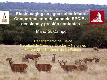 Mario G. Campo Departamento de Física Facultad de Ciencias Exactas y Naturales Universidad Nacional de La Pampa Efecto caging en agua subenfriada. Comportamiento.