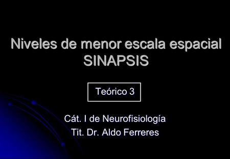 Niveles de menor escala espacial SINAPSIS