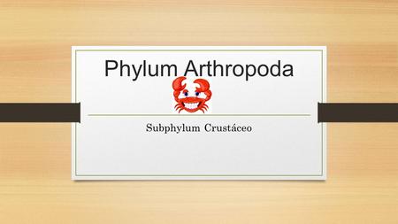 Phylum Arthropoda Subphylum Crustáceo.