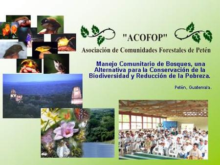 GUATEMALA 162 Areas protegidas en el País 3,357,470.26 millones Hectáreas protegidas 30.83% del país Aprox. Petén 80% de las Áreas Protegidas.