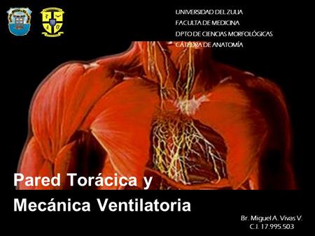 Pared Torácica y Mecánica Ventilatoria
