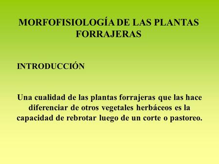 MORFOFISIOLOGÍA DE LAS PLANTAS FORRAJERAS