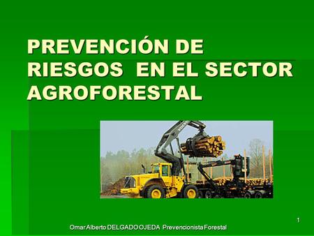 Omar Alberto DELGADO OJEDA Prevencionista Forestal 1 PREVENCIÓN DE RIESGOS EN EL SECTOR AGROFORESTAL.