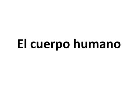 El cuerpo humano.