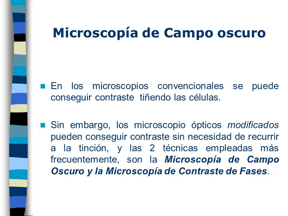 Microscopía de Campo oscuro - ppt descargar
