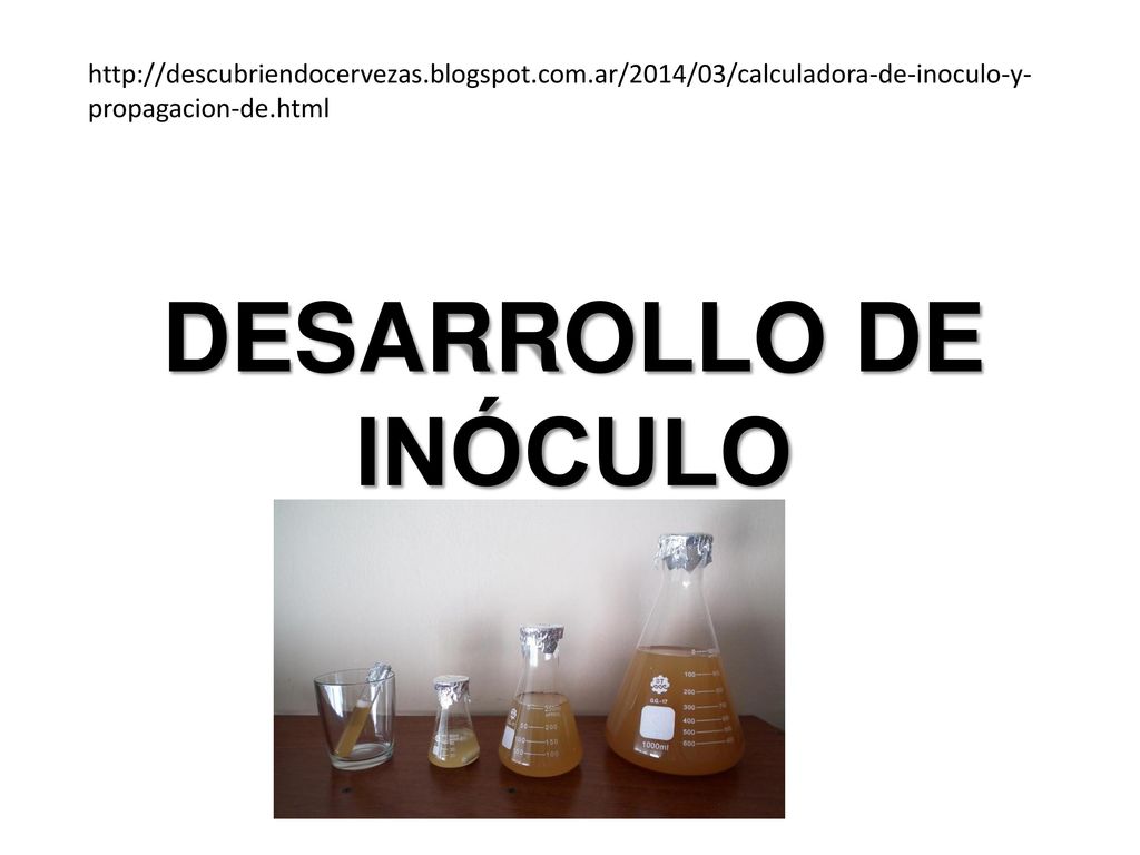 blogspot. com DESARROLLO. - ppt descargar