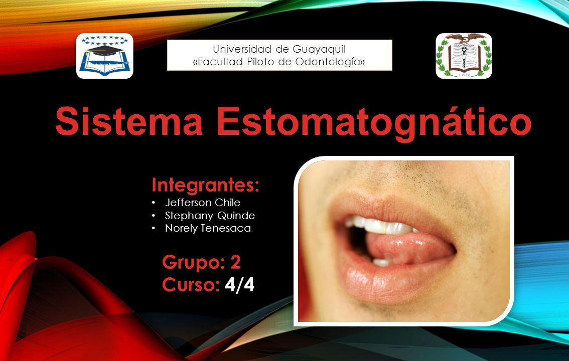 sistema estomatognatico arturo manns pdf sistema estomatognatico arturo manns pdf