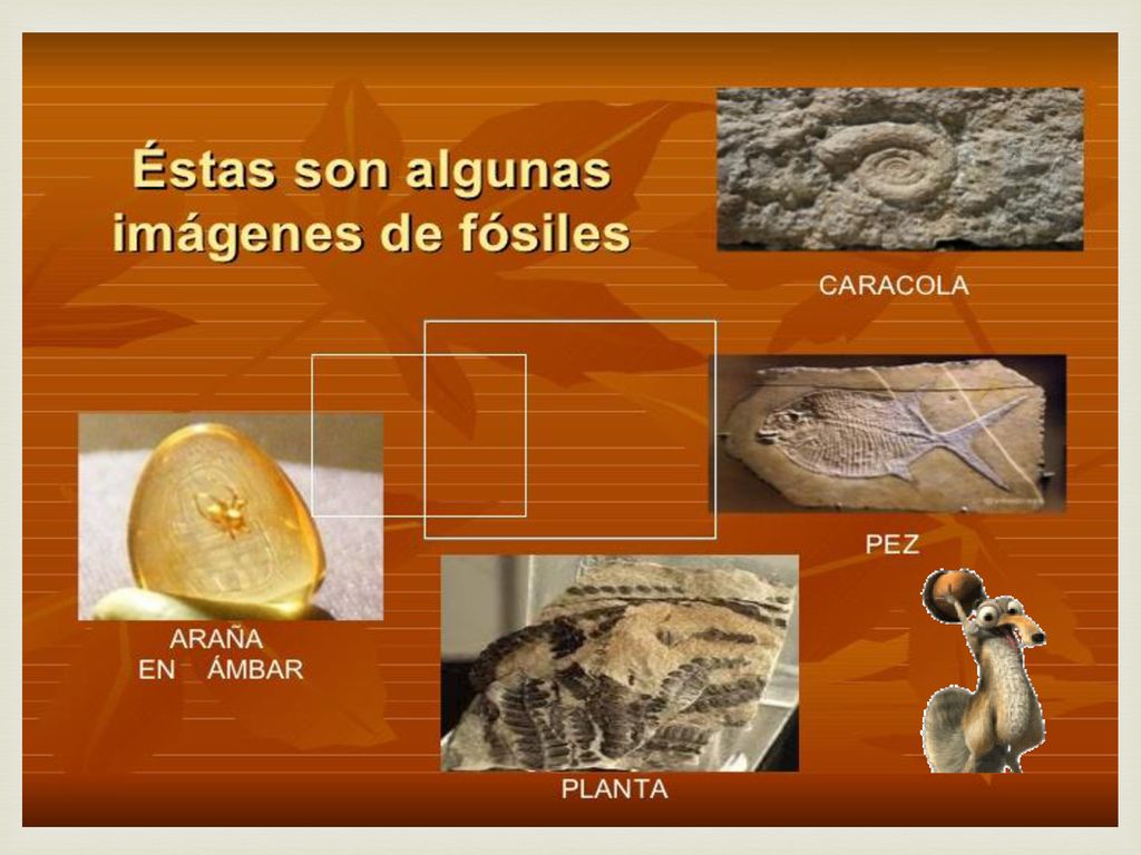 Universidad de San Carlos de Guatemala Escuela de Formación de Profesores  de Enseñanza Media Curso: Geobiología Mónica Analid Castillo Carné: ppt  descargar