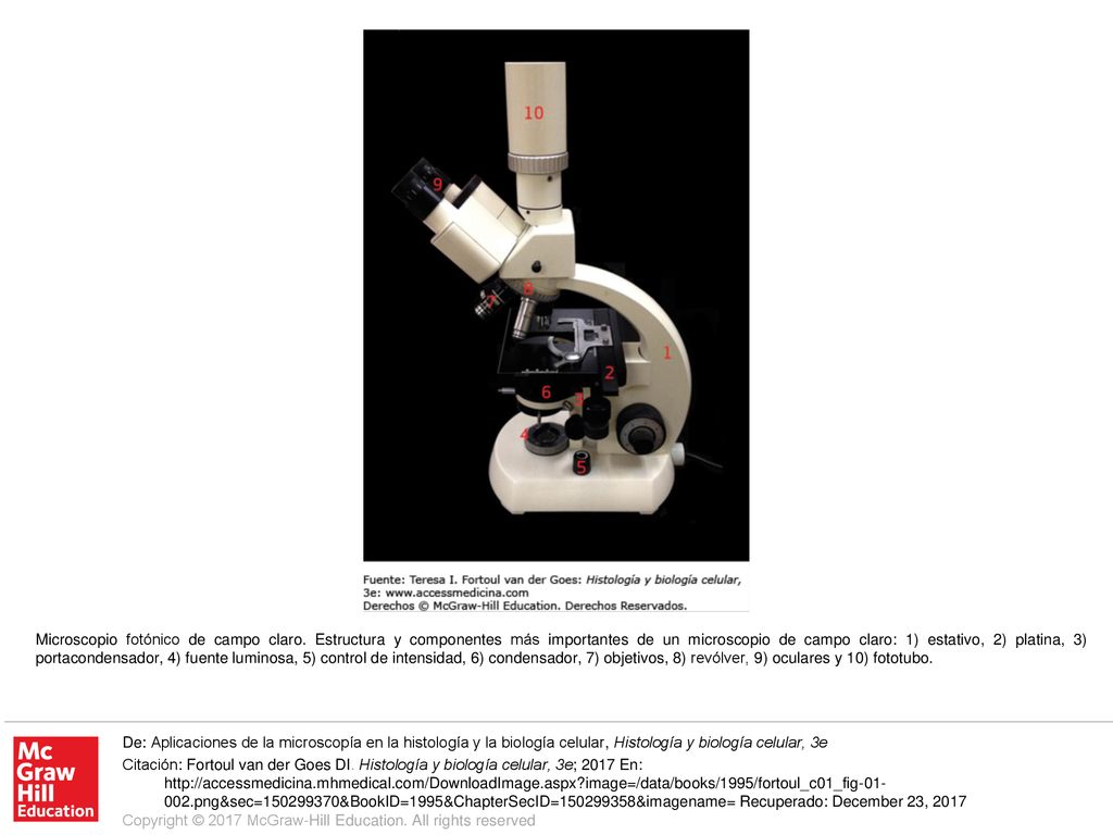 Microscopio fotónico de campo claro - ppt descargar