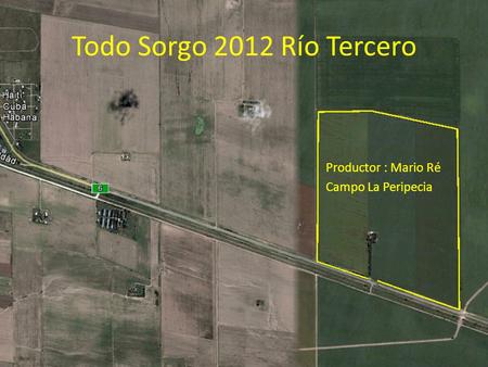 Todo Sorgo 2012 Río Tercero Productor : Mario Ré Campo La Peripecia.