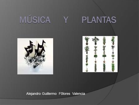 Música y plantas Alejandro Guillermo F0lores Valencia.