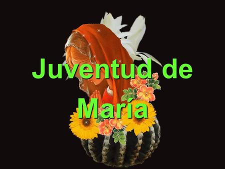 Juventud de María Era María muy joven tan joven como la vida y todo le maravillaba.