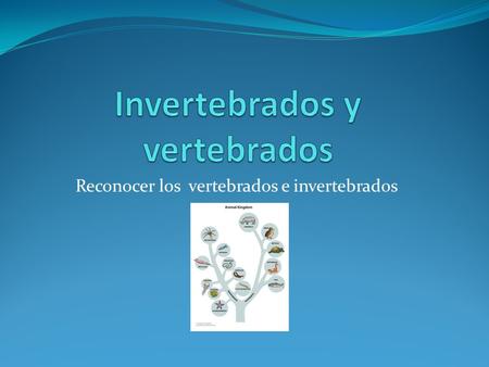 Invertebrados y vertebrados