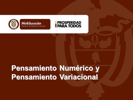 Pensamiento Numérico y Pensamiento Variacional