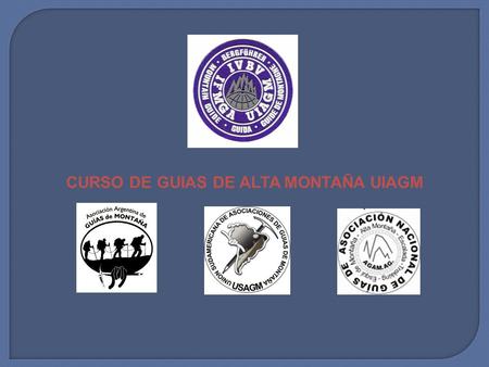 CURSO DE GUIAS DE ALTA MONTAÑA UIAGM. Chile país candidato a la UIAGM Argentina país patrocinante Estructuración de la plataforma de formación Plataforma: