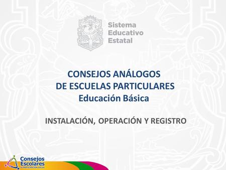 CONSEJOS ANÁLOGOS DE ESCUELAS PARTICULARES Educación Básica