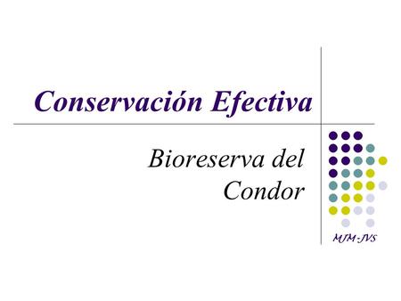 MJM-JVS Conservación Efectiva Bioreserva del Condor.