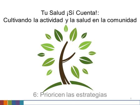 1 Tu Salud ¡Sí Cuenta!: Cultivando la actividad y la salud en la comunidad 6: Prioricen las estrategias.